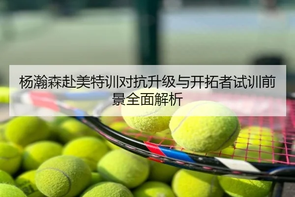杨瀚森赴美特训对抗升级与开拓者试训前景全面解析