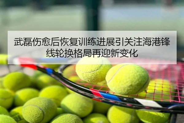 武磊伤愈后恢复训练进展引关注海港锋线轮换格局再迎新变化